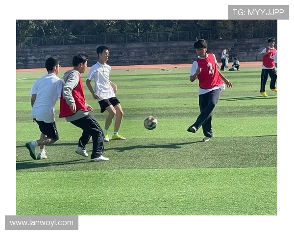 农村中学生校园足球赛事（农村校园足球课题研究）sports